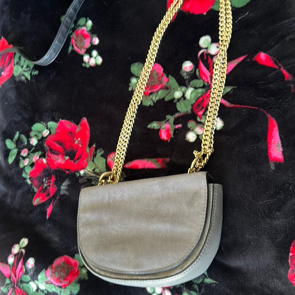 Never used velvet purse from express